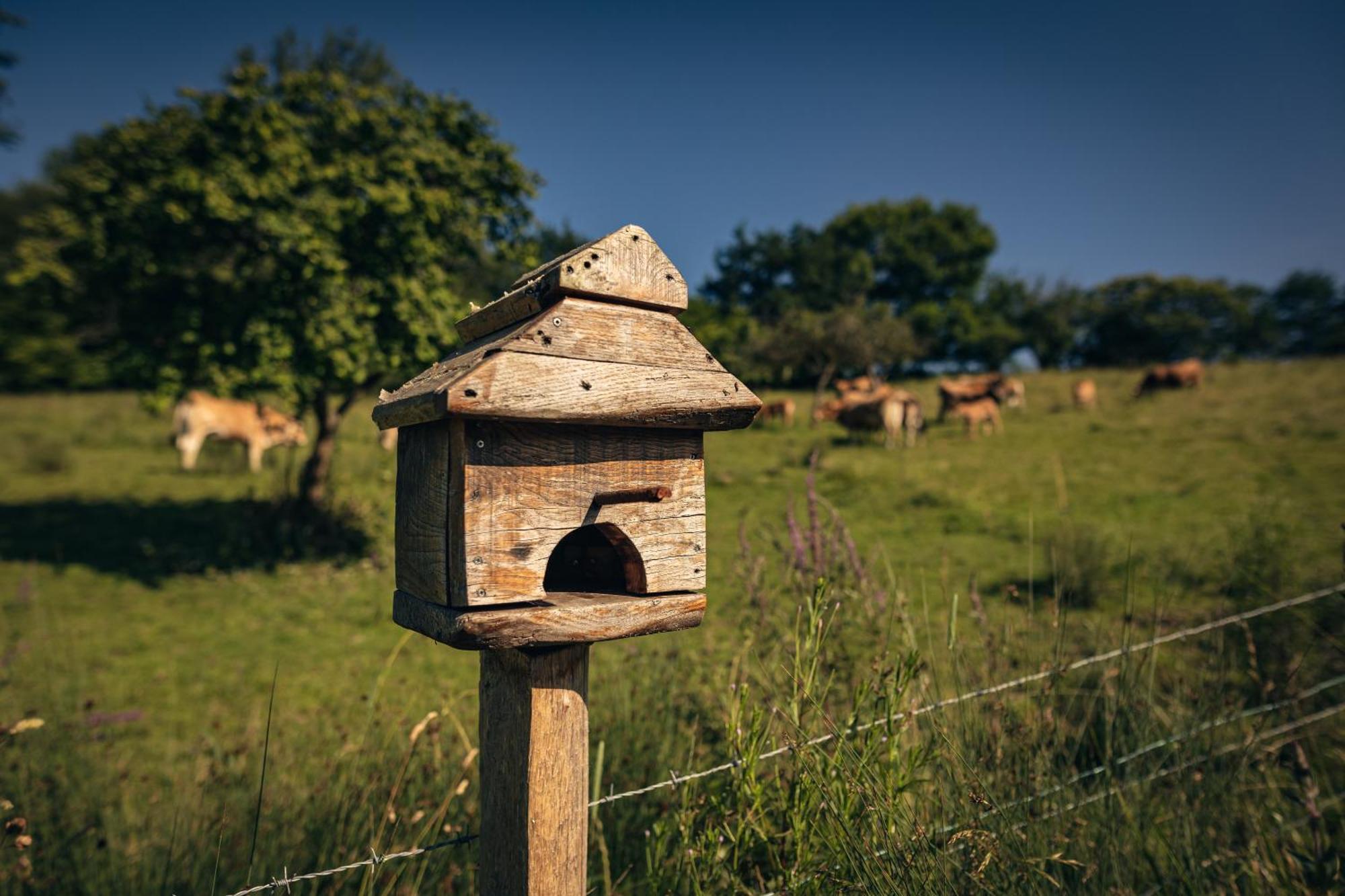 Finca La Naguada Casa Rural En Asturias Beloncio Εξωτερικό φωτογραφία