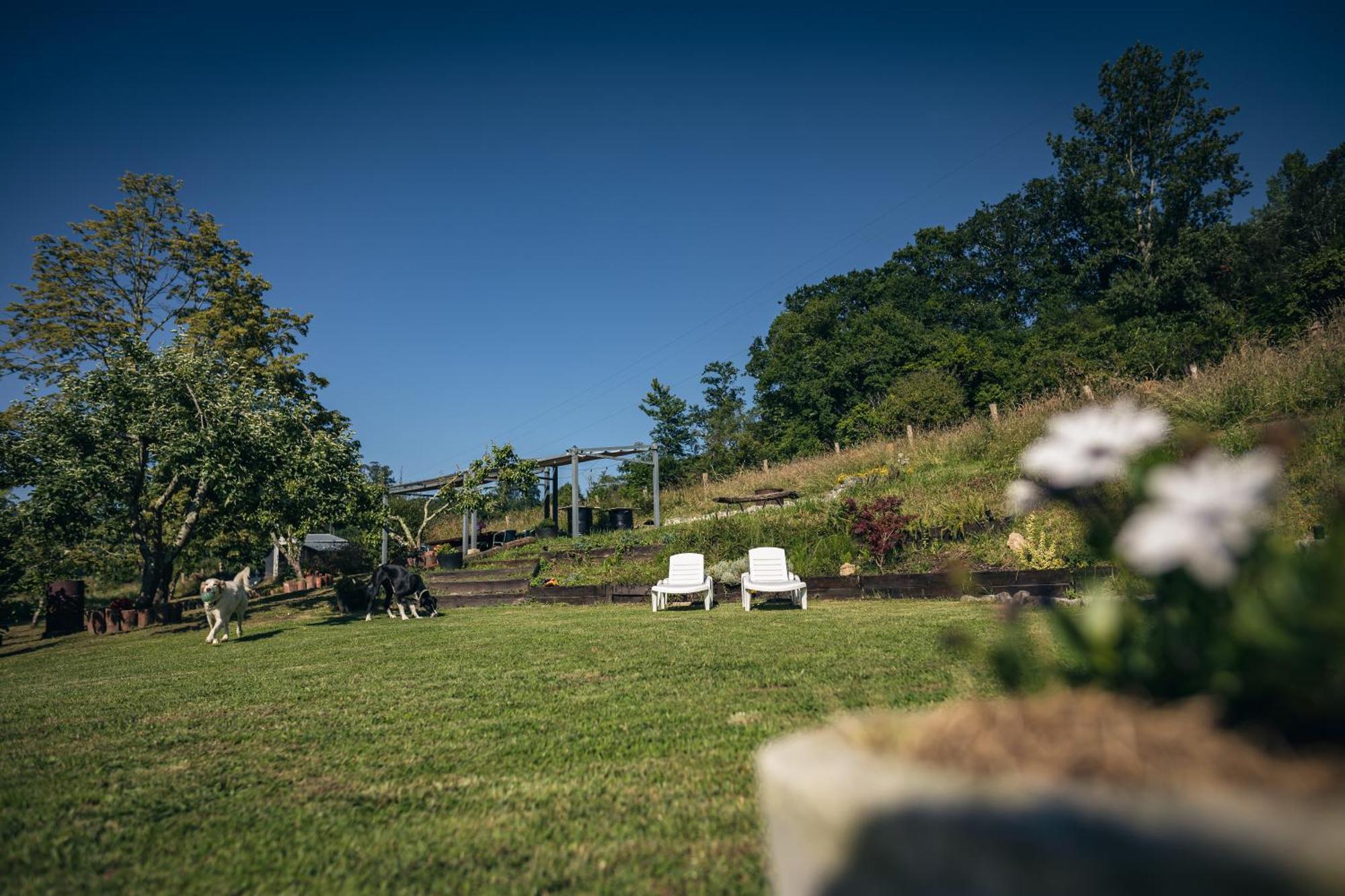 Finca La Naguada Casa Rural En Asturias Beloncio Εξωτερικό φωτογραφία