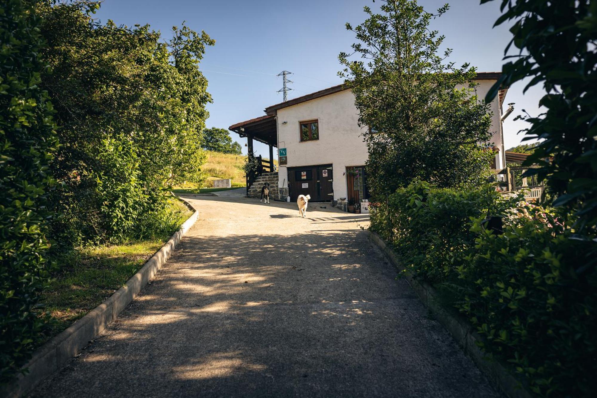 Finca La Naguada Casa Rural En Asturias Beloncio Εξωτερικό φωτογραφία
