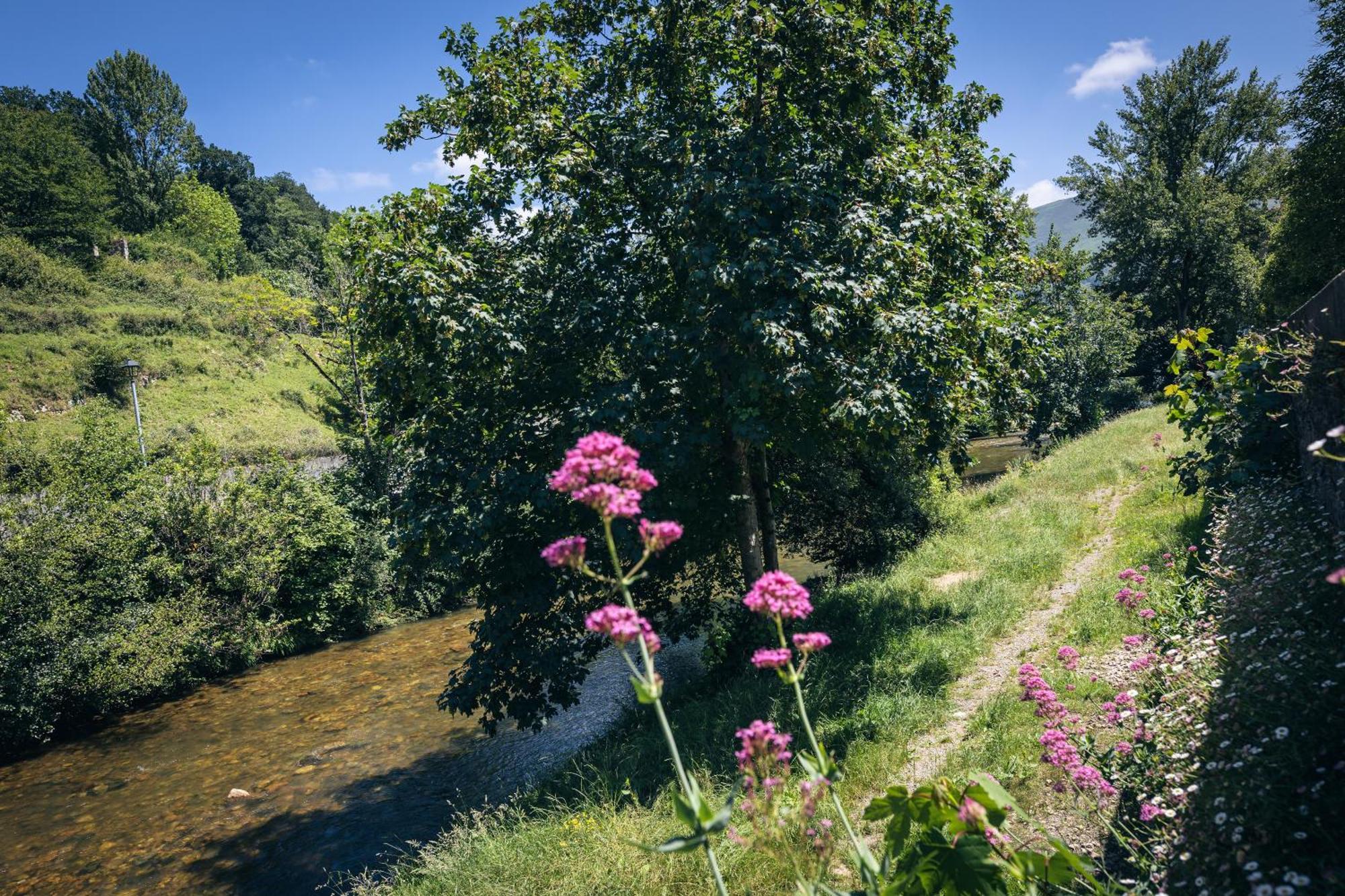Finca La Naguada Casa Rural En Asturias Beloncio Εξωτερικό φωτογραφία